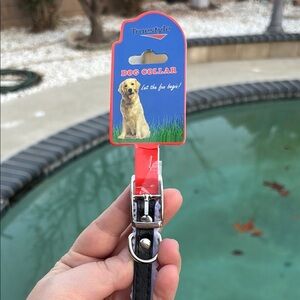 Black Collar for Small Dogs | collar length 11in